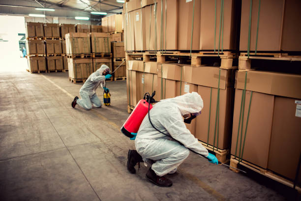 Best Cockroach Control Services  in Brookfield, IL