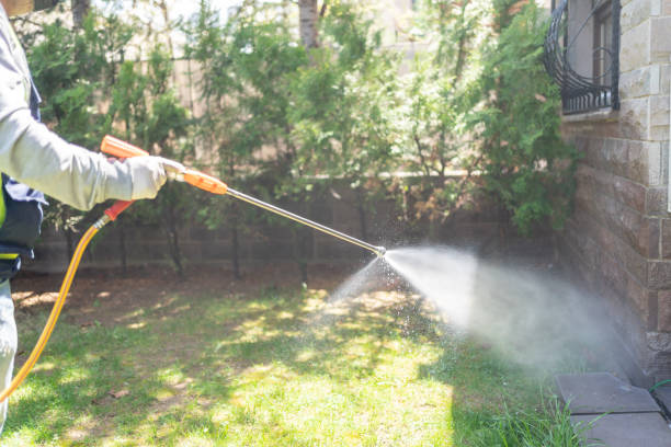 Best Affordable Pest Control Services  in Brookfield, IL