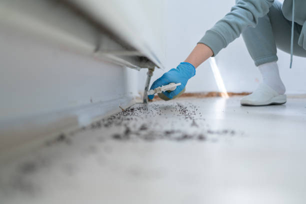 Reliable Brookfield, IL Pest Control Solutions