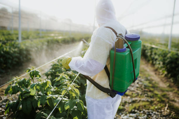 Best Pest Removal Services  in Brookfield, IL